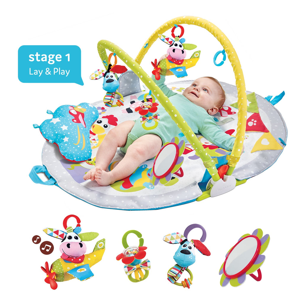 Baby Gym Lay-to-Sit-Up Playmat | ForFullFun Baby Toys