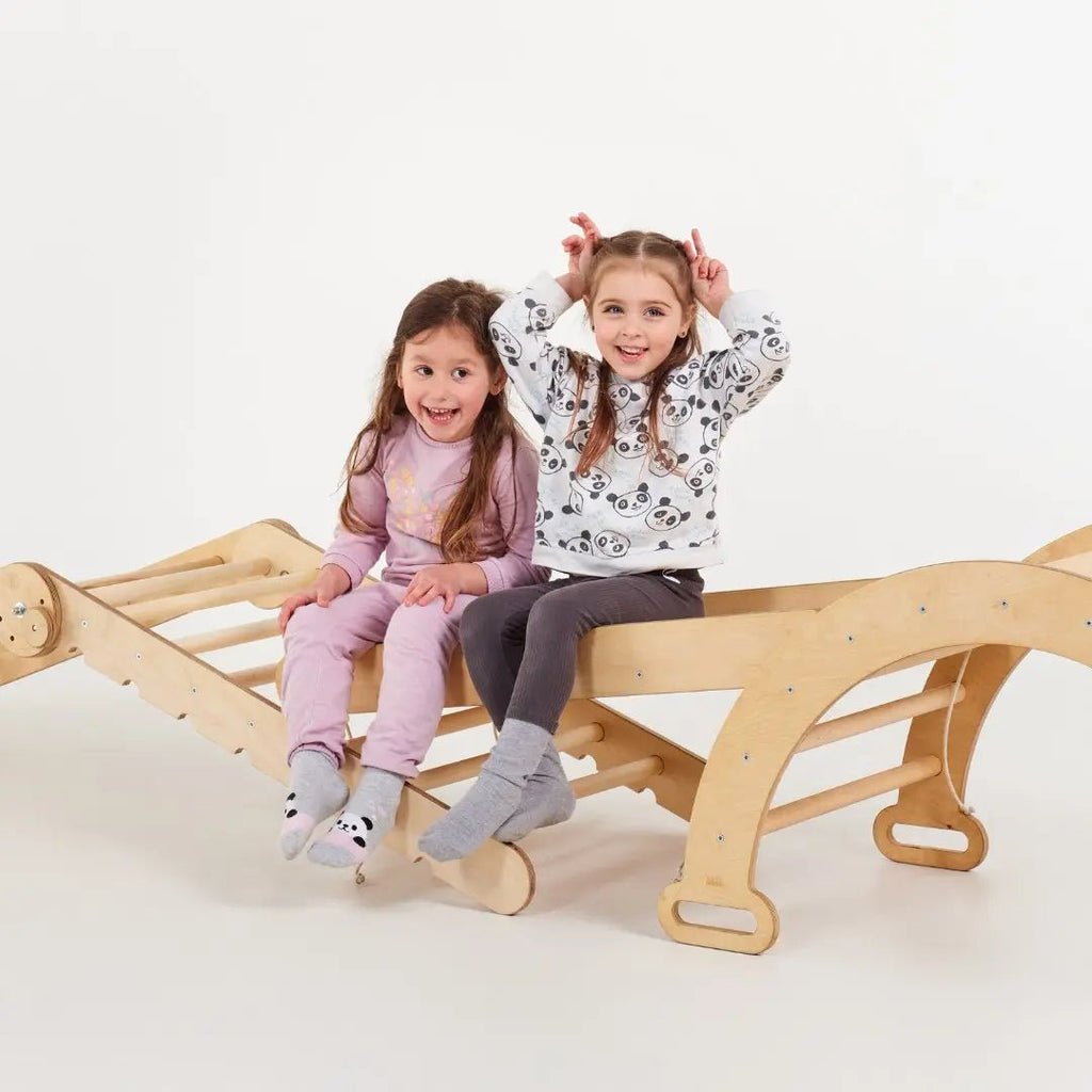 For Full Fun-5in1 Montessori Climbing Set: Triangle Ladder + Climbing Arch + Slide Board + Climbing Net + Art Addition-5in1 Playsets