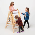 For Full Fun-5in1 Montessori Climbing Set: Triangle Ladder + Climbing Arch + Slide Board + Climbing Net + Art Addition-5in1 Playsets