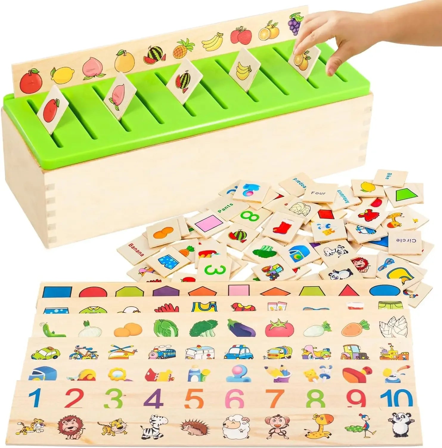  Wooden Sorting & Matching Toy Box