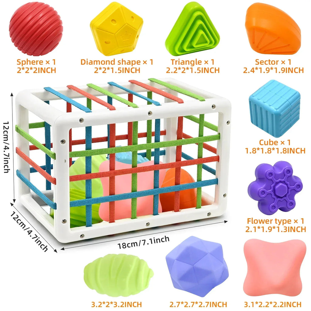  Shape Sorter Baby Toys