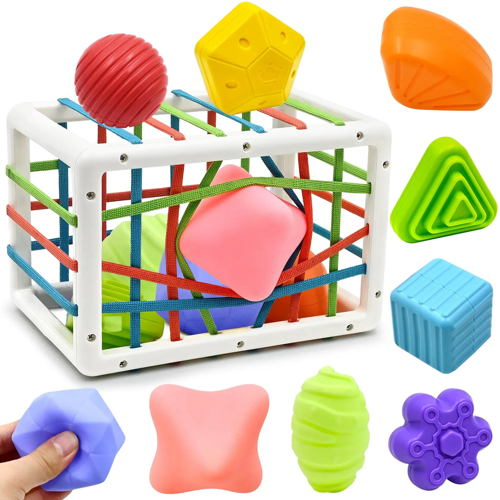  Shape Sorter Baby Toys
