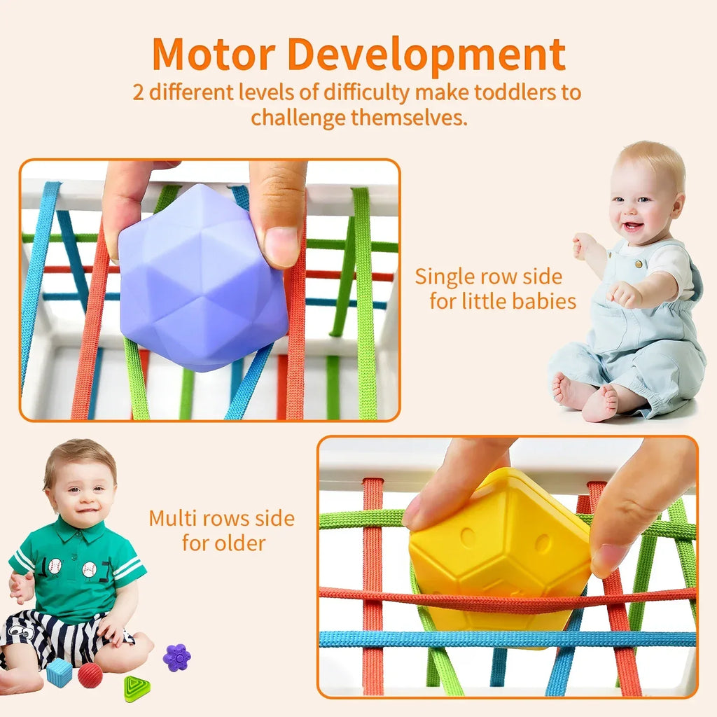  Shape Sorter Baby Toys