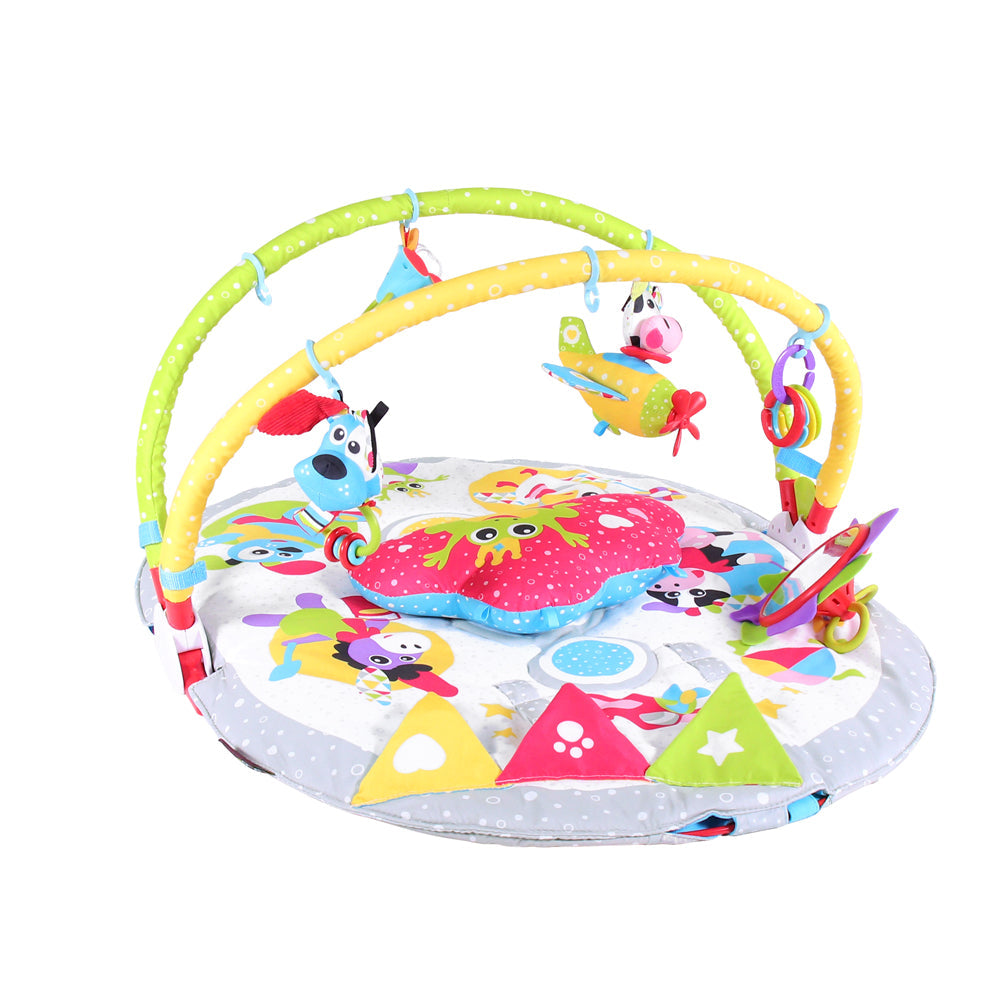 Baby Gym Lay-to-Sit-Up Playmat | ForFullFun Baby Toys