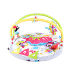 Baby Gym Lay-to-Sit-Up Playmat | ForFullFun Baby Toys